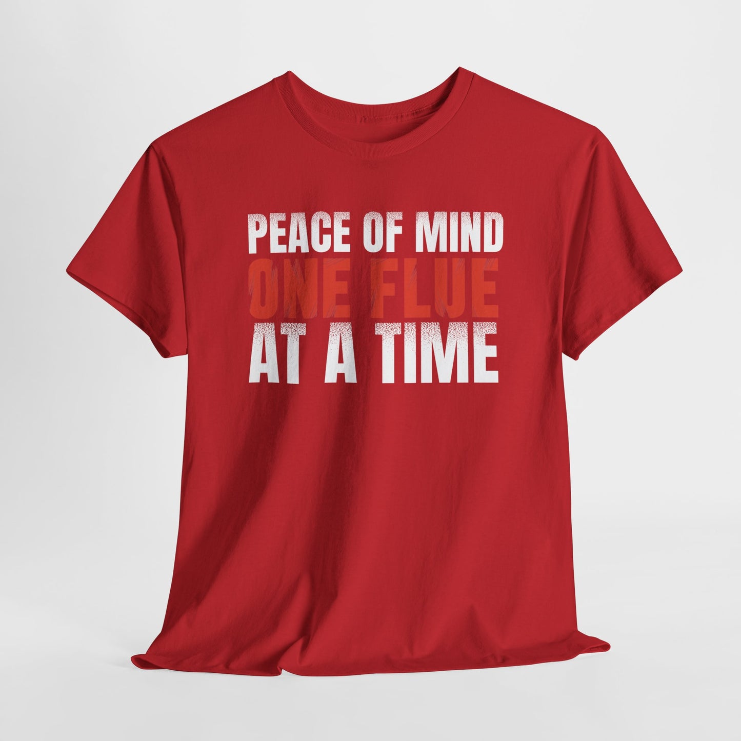 Peace of Mind, One Flue at a Time